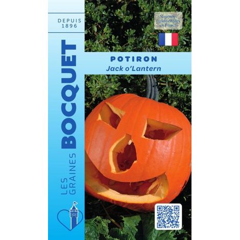 Potiron Jack O'Lantern - 5g