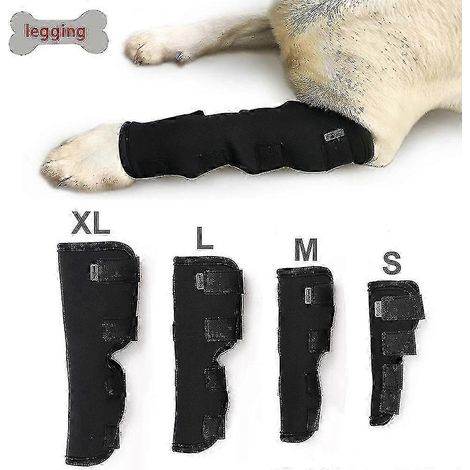 Protection anti-léchage pour pattes de chien, manchon de compression pour jarret et patte de chien - (1/5)