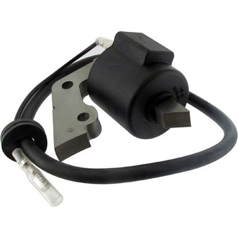 Bobine d'allumage ROBIN 227-79460-11 – Adaptable pour moteurs 2 temps – Pour coupe précise et démarrage rapide – Poids 0,31kg