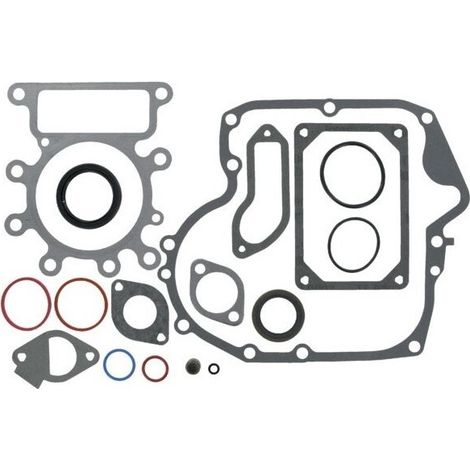 Set di tenute BRIGGS ET STRATTON 697151 796181