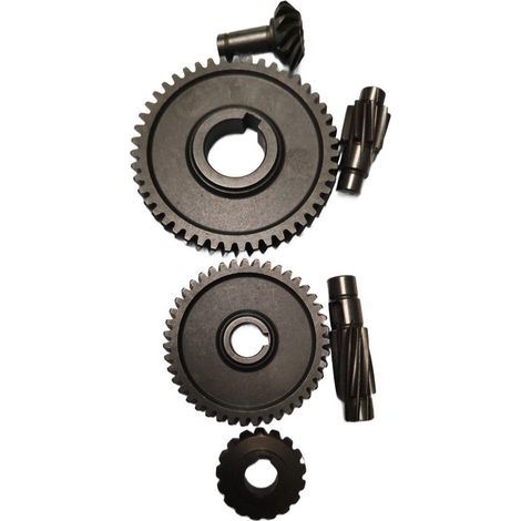 Kit Piñones Y Engranajes Internos Set Fresa(469502)  Ref 555024
