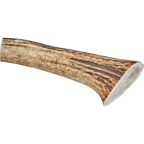 ARQUIVET Corno di cervo - Corno da masticare per cani ecologico - Corno di cervo per cane - Corno da masticare naturale - Corno di cervo raccolto autunnale - L - 76-150 g (1/5)