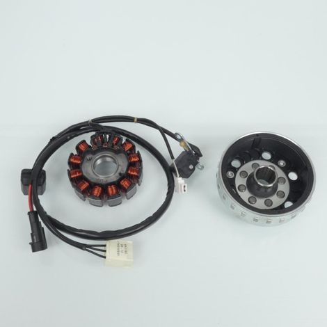 Zündung Stator Rotor RMS für Roller 643166 / 643167 Neu (1/5)
