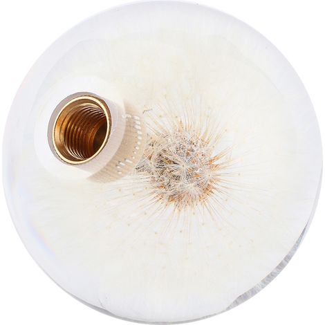 Pommeau de levier de vitesse de 7,1 cm (2,8 po) orné de véritables pissenlits en cristal, accessoire universel avec adaptateur à 3 filetages (1/5)