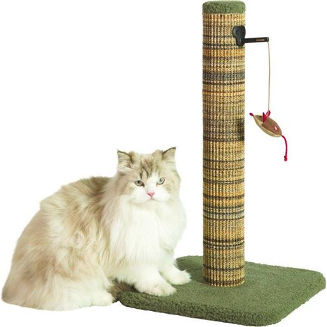 Poteau griffoir chat - ZOLUX - Sisal - Avec jouet suspendu - 60 cm - Boréal - Vert