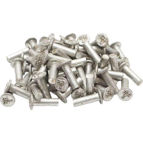 Set di 100 rivetti per pastiglie freno Fiat, New Holland, Massey Ferguson 16x4,5mm codice OEM 850197, MF05-0042 (1/4)