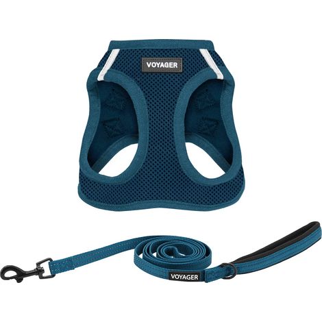Harnais en Maille Toutes Saisons et Laisse réfléchissante de 1,5 m avec poignée en néoprène pour Chiots de Petite, Moyenne et Grande Taille (Bleu), Taille XXXS (1/5)