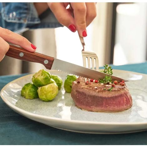 6 Couteaux Steak Inox 3cr14 22cm Lame Dentelée Effet Bois