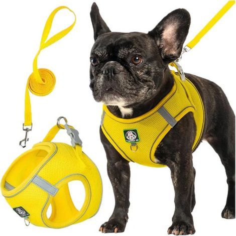 Beyamis Ensemble harnais et laisse réfléchissants en maille respirante pour chien, jaune, taille L