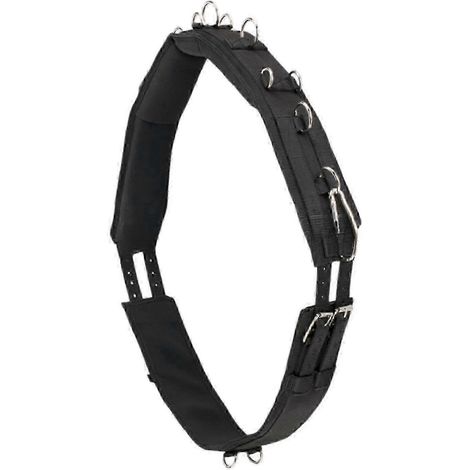 Sangle de cheval pour équipement d'équitation polyvalent M (1/5)