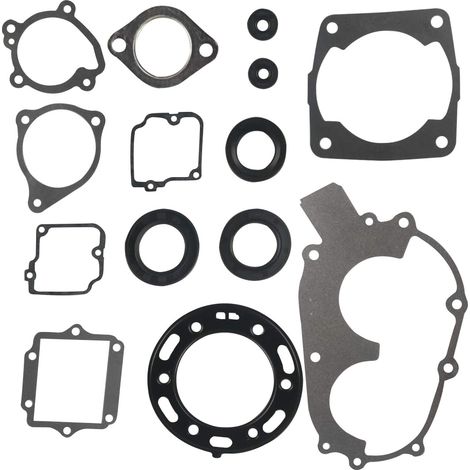 Kit complet de joints de moteur Polaris 400 Scrambler, Sportsman (1/3)