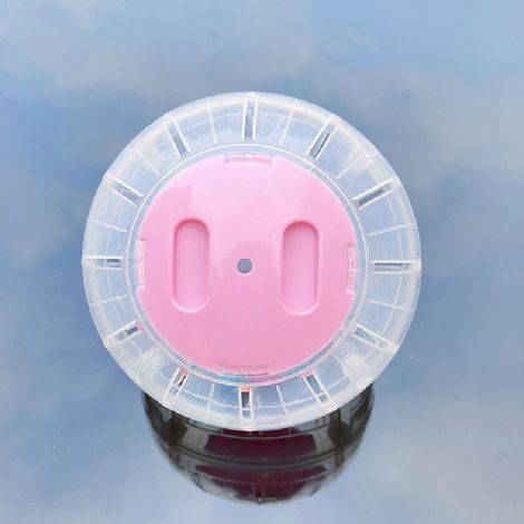 2pcs Pink Hamster Exercise Ball, Diameter 12cm Plastic Exercise Small Animal Supplies Running Ball T (1/5)