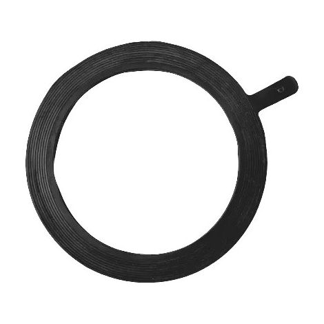 Dichtung für Heizelement des Warmwasserbereiters PACIFIC THERMOR Wandbereich