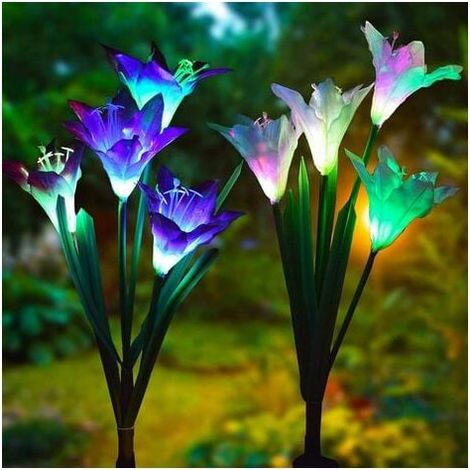 Briday – Lot de 2 lampes solaires de jardin – 7 couleurs changeantes – Panneau solaire large – IP65 étanche – Décoration extérieure (1/5)