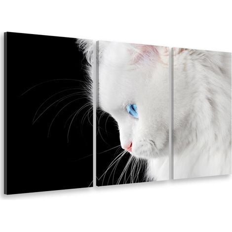 Tableau triptyque Tableau photo angora aux yeux bleus - 90x60 cm Toile imprimée (1/5)