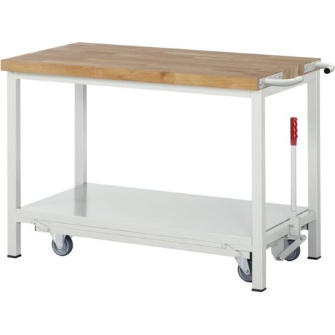 Etabli Rau avec châssis abaissable modèle 8000 L 1250 x P 700 x H 880mm (1/5)
