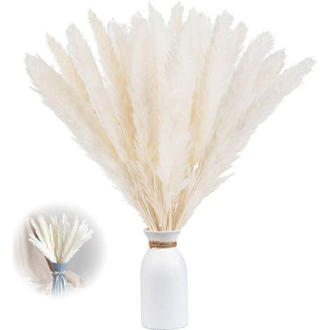 Paquete de 30 tallos secos de hierba de la pampa, 60 cm – Decoración natural para el hogar – Textura relajante – Inodoro y de larga duración (1/5)