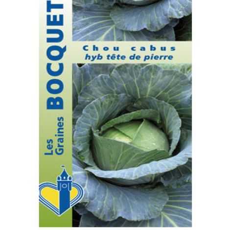 Chou cabus 'Tête De Pierre HYB F1' le sachet de 50 graines (0,3g)
