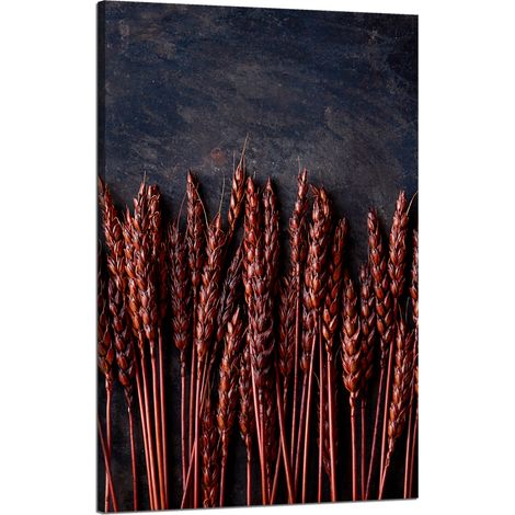 Leinwanddruck Botanik Dunkler Weizen 50x80 cm