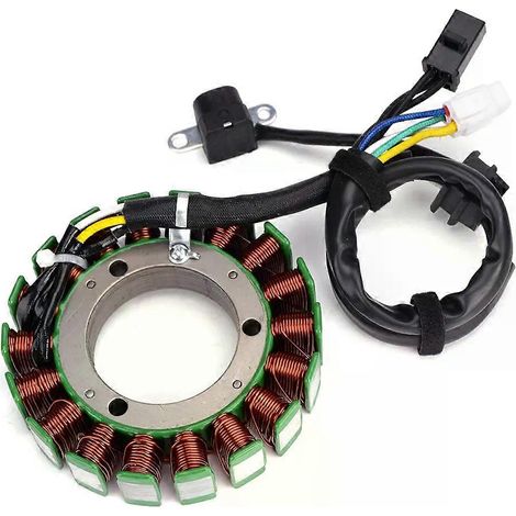 Bobine de stator pour Arctic Cat TRV 500 (2003-2008) et Suzuki LTA500 Vinson 4x4 (1/5)