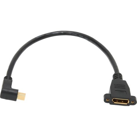 Câble DP femelle vers mini DP mâle, adaptateur DisplayPort verrouillable à double trou pour sortie QXGA 2560 x 1600 (1/4)
