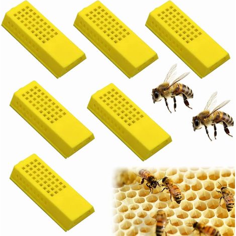 Cages pour Reines, Cages D'élevage de Reine des Abeilles, Cage en Plastique pour Reine des Abeilles,Tasses d'apiculture, Outils d'apiculture, 6 Pièces (1/5)