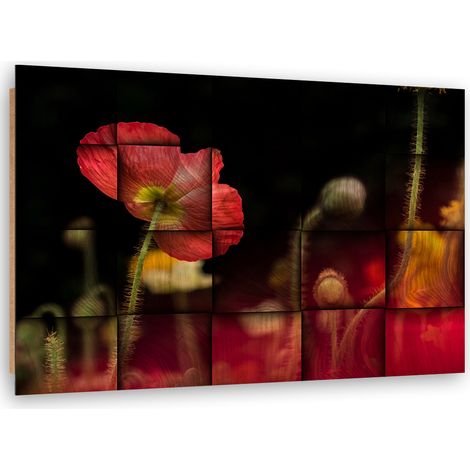 Quadro deco panel, Fiore di papavero rosso - 60x40 (1/5)