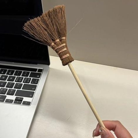 Mini Braunbesen, Palm Minibesen, Tastaturreiniger, Mini Schreibtischbürste, kleiner Tischbesen, Kehrbürste für Auto, Schreibtisch, Tastatur, Arbe (1/4)