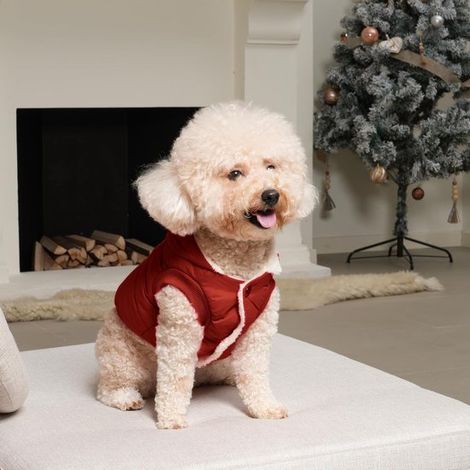 Jersey para perros, Mono para perros, Poliéster, Ropa de otoño e invierno para perros, Ropa de abrigo para perros, Talla L, Rojo (1/5)