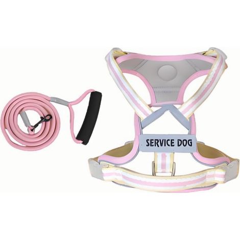 1 Arnés antiescape, correa reflectante, tejido transpirable, hebilla ajustable, para perros pequeños (1/5)