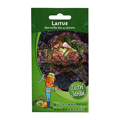Graines de Laitue Merveille des 4 Saisons (1/2)