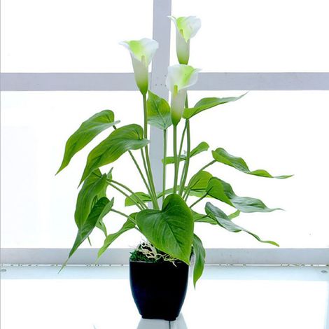 Künstliche Blumen für das Wohnzimmer, dekorative Blumen aus Kunststoff, künstliche Topfpflanzen, künstliche Blumen (1/5)