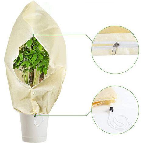 Housse Protection Plantes - 80x100 cm - Non Tissé Antigel - Usage Jardin Domestique - Lot de 2 (1/3)