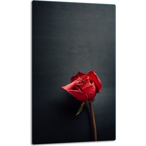 Glasplatte, Tischplatte, 30x52, Rose (1/5)