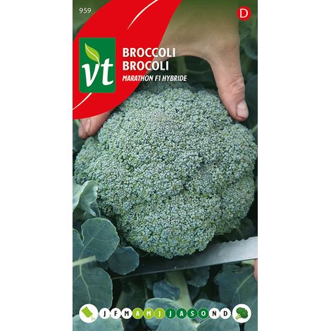 Brocoli Marathon F1 Hybride - Ca. 0,3 gr (Livraison Gratuite) (1/2)