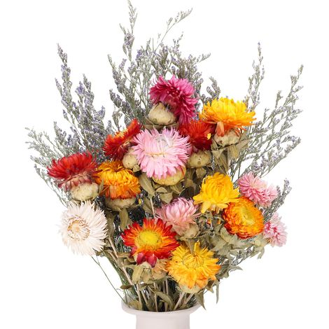 Bouquet di fiori secchi Camomilla e Fiordaliso Multicolore 30 cm (1/5)