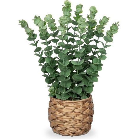 Kunstpflanze Eukalyptus Seegras Topf 39 cm Grün M Topf (1/5)