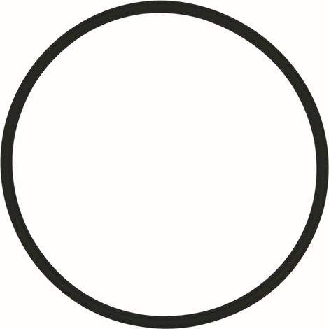 SYR O-Ring Filtertasse