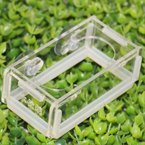 Distributeur de nourriture pour poissons en acrylique pour aquarium avec ventouse, installation facile (1/3)
