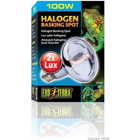 EXO Terra Halogen -Beinspot 100 W.