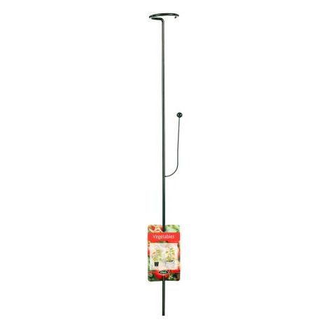 SOSTEGNO PER ORCHIDEE E FIORI IN VASO 75 CM CM PEACOCK PIANTE ACCESSORI INTERNO CASA