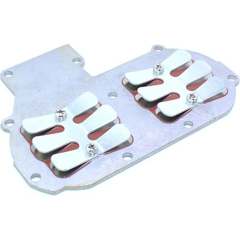 Einlassventil und Paddelventil für Yamaha 2-Takt 30 PS Außenbordmotor - Kompatibel mit 689-13610-01. (1/5)