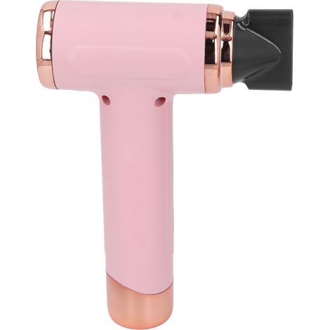 Sèche-cheveux portable multifonctionnel pour animaux de compagnie, utilisable sur cheveux secs ou mouillés, 200 W, couleur rose. (1/5)