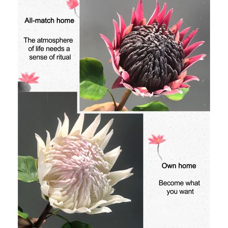 Protea-Kunstblumenstrauß, beflockte Blume, Heimdekoration, Foto-Requisite, realistische künstliche Blume (1/5)