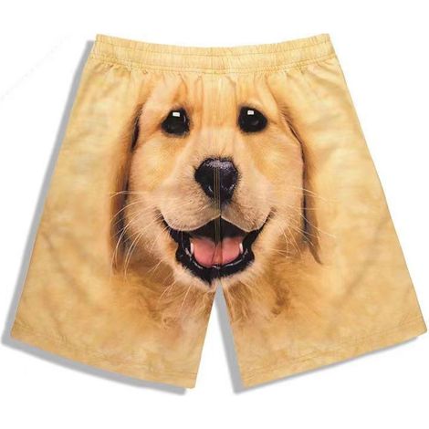 Shorts Homme - Polyester Élasthanne - Séchage Rapide - Pour Loisirs Extérieurs Plage Gym - Tailles M à XXXXL (1/5)