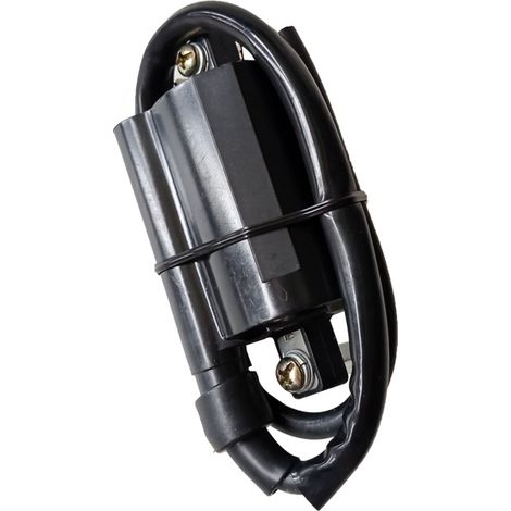Haojue GN125 GS125 high-voltage coil for motorcycles used in GW250, DL250, GSX250R, and other models. (1/5)