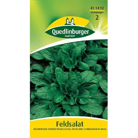 Quedlinburger Feldsalat Holländischer breitblättriger - Gemüsesamen (1/2)