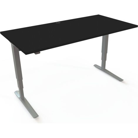 STIER Bureau électrique réglable en hauteur 501-43 160 x 80 cm Noir/Argent 65-125 cm (1/3)
