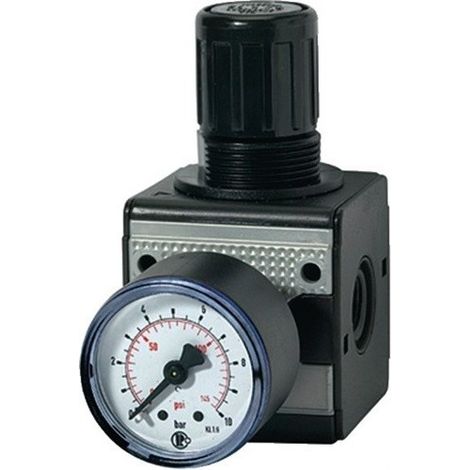 Riegler  regulador  de  presión  multifix  incl.  manómetro  BG  1  G  1/4  0,5  -  10  bar  -  100417