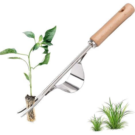 Diserbatrice manuale in acciaio inossidabile con manico in legno, utilizzata per diserbare rapidamente terreni e giardini. Forca manuale per diserbo delle radici a forma di Y. (1/5)